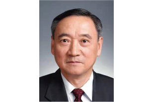 徐锭明 先生，原国务院参事、国家能源专家咨询委员会副主任