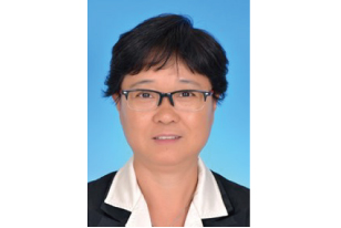赵风云 女士，中国电力技术市场协会综合智慧能源专业委员会会长