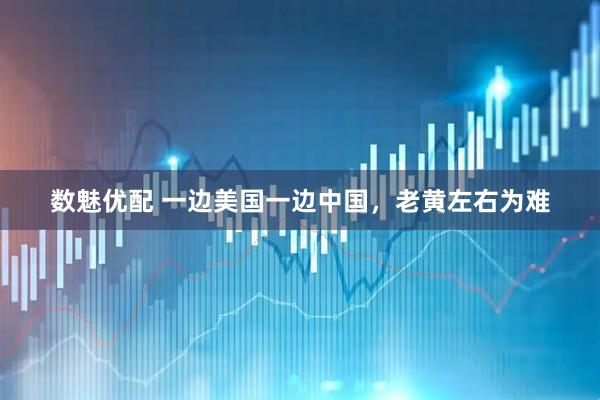 数魅优配 一边美国一边中国，老黄左右为难